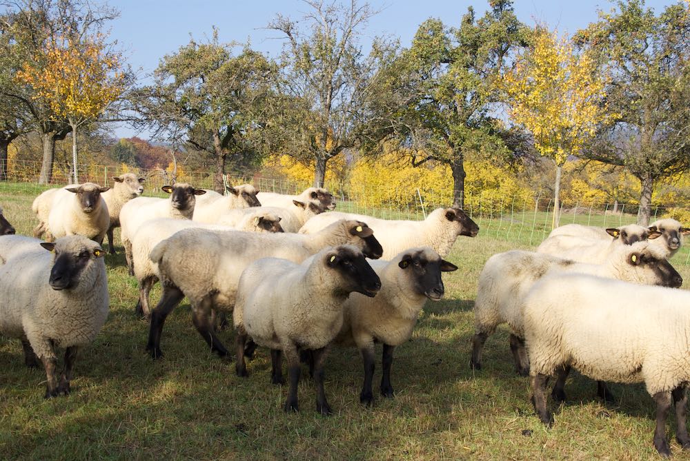 Bilder Herbst 2015